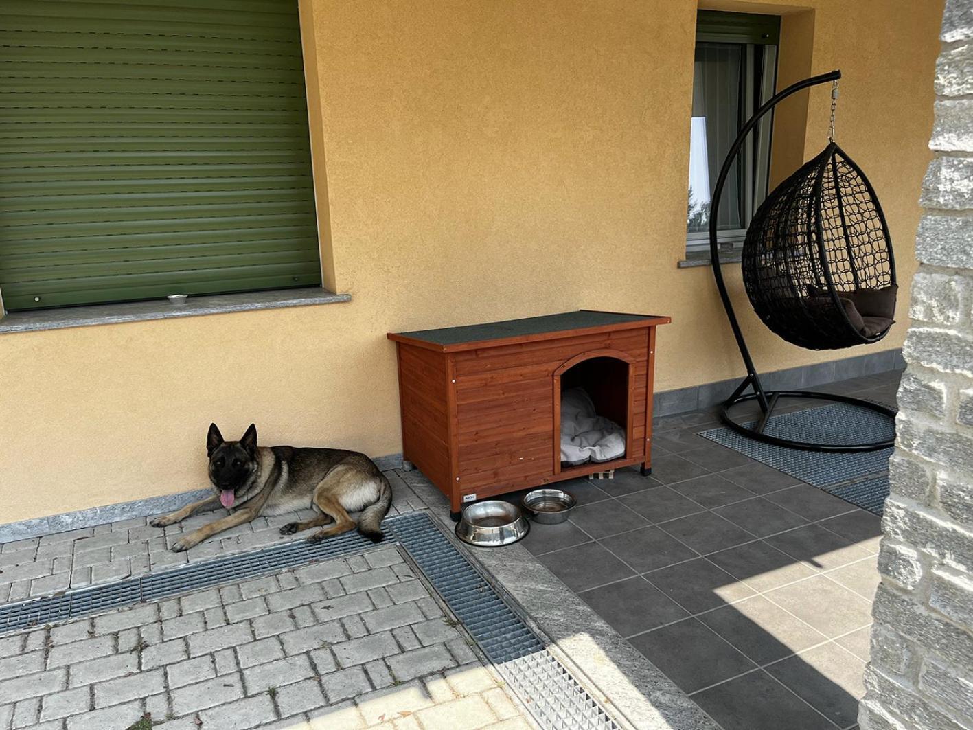 Magicview Baveno Apartment With Garden And Lake View Екстер'єр фото